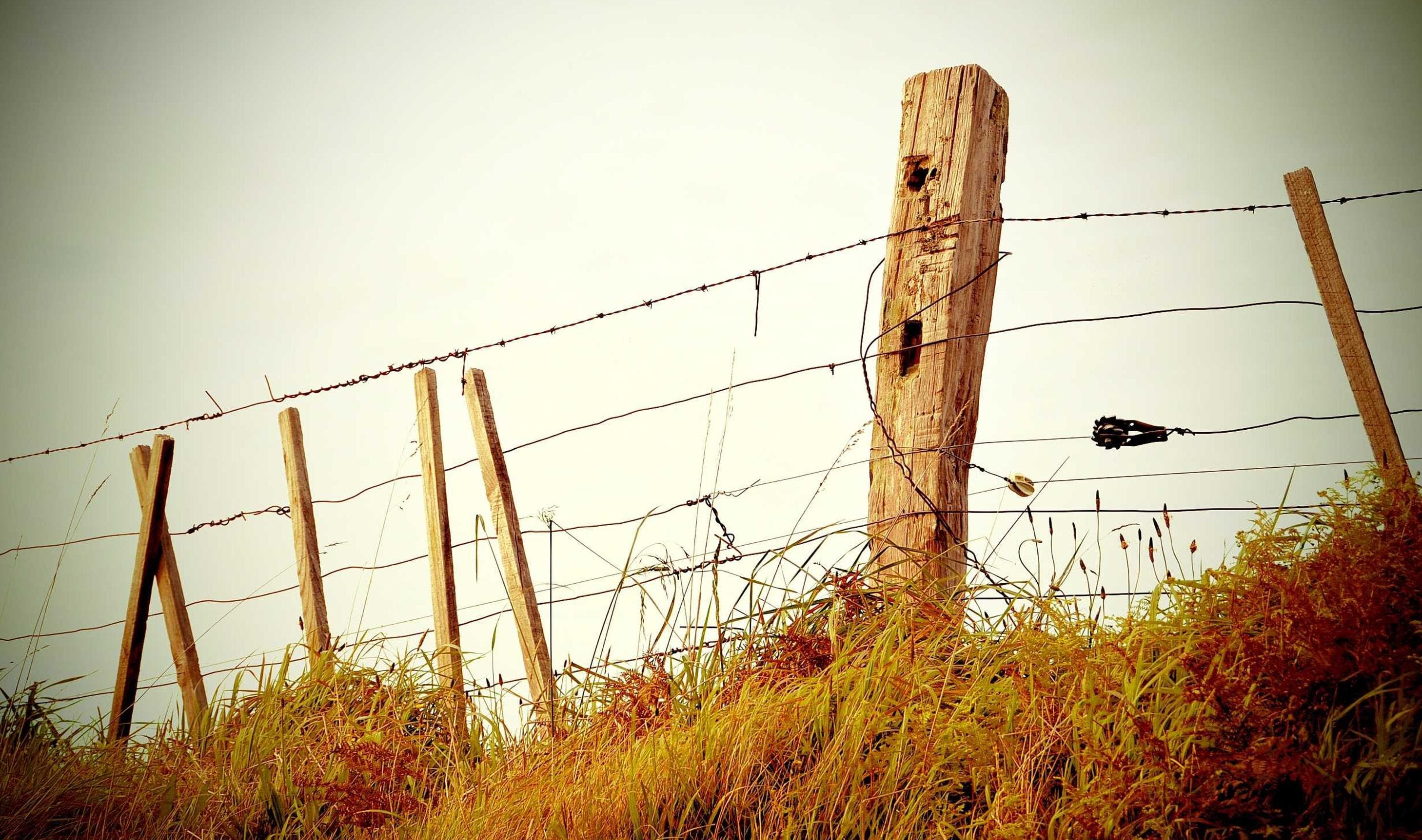 Pengumuman Beasiswa Prestasi Semester Ganjil 2024/2025